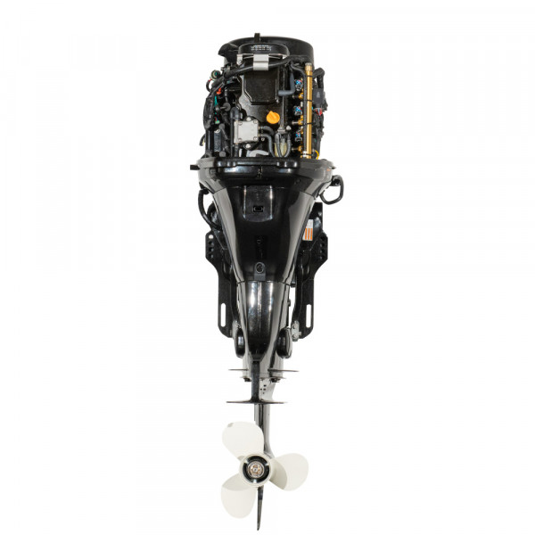 Мотор лодочный PARSUN F115FEL-T EFI L