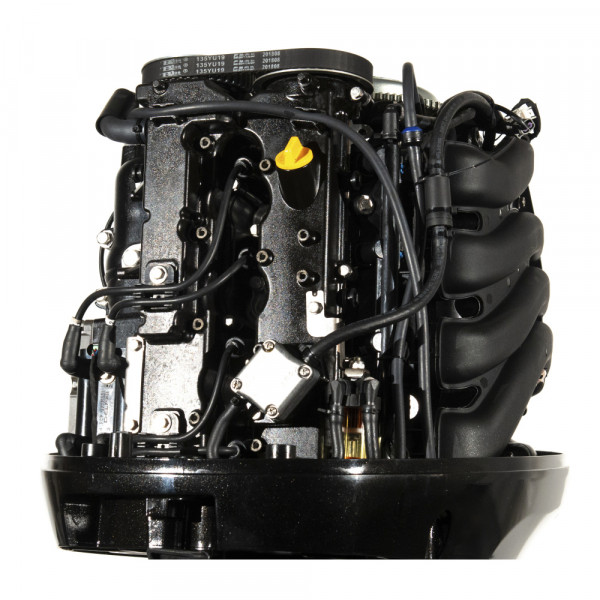Мотор лодочный PARSUN F115FEX-T EFI L