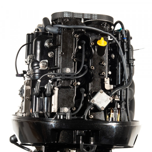Мотор лодочный PARSUN F115FEX-T EFI L
