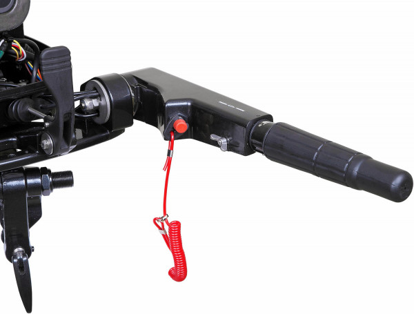 Мотор MARLIN MF 20 AMHS